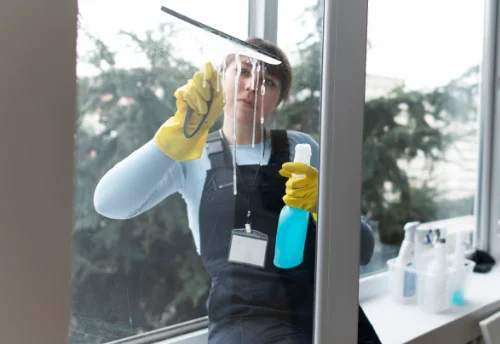 Nettoyage de vitres intérieures et extérieures à Annoire